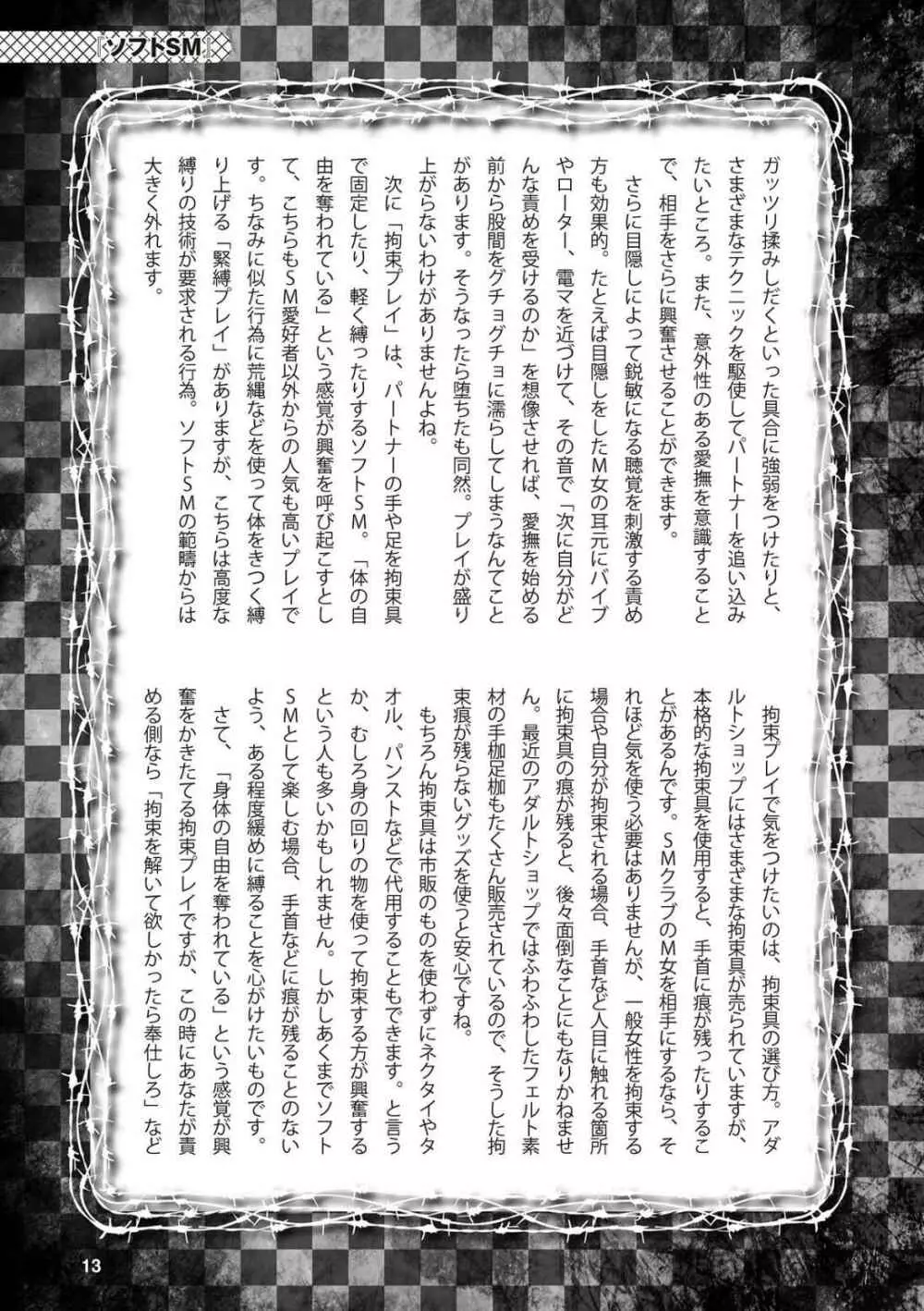 アブノーマル風俗入門 ラブドール風俗から、1000万円の風俗嬢まで 15ページ