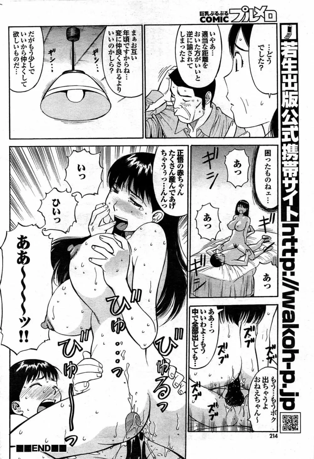 COMIC プルメロ 2008年03月号 vol.15 213ページ