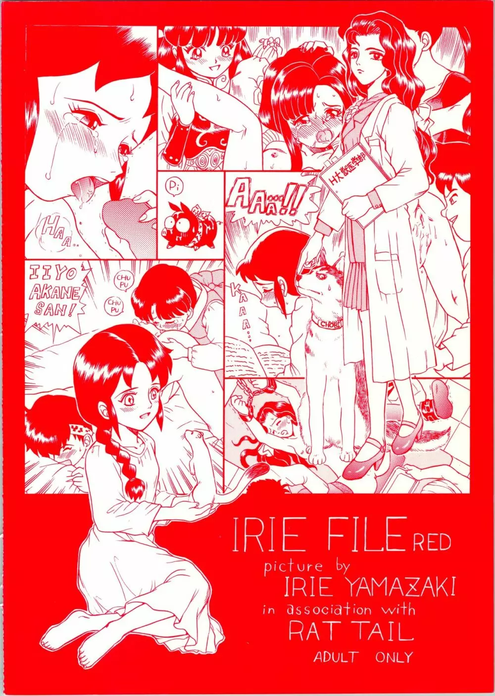 IRIE FILE RED 76ページ