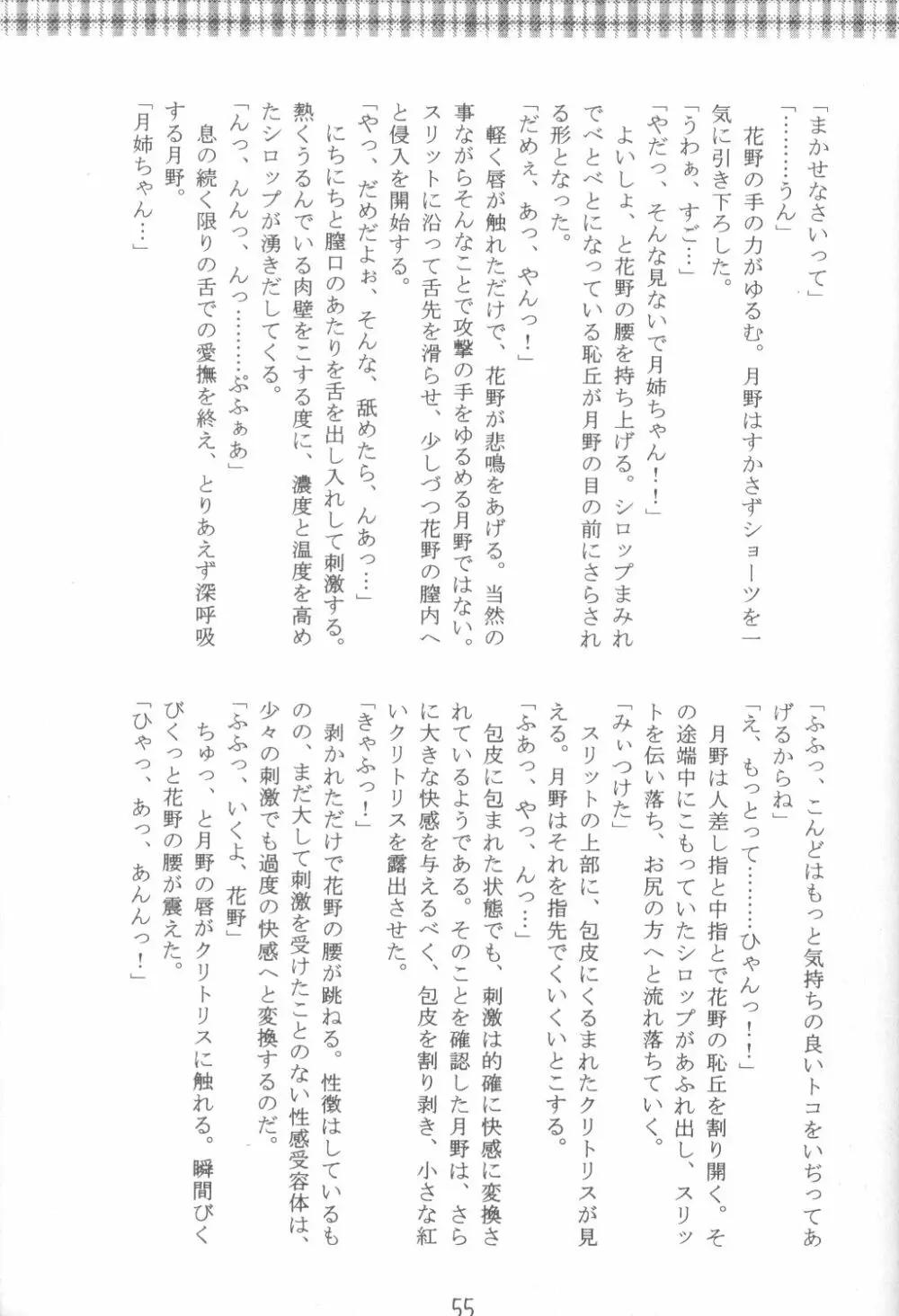ファンシア育成日記 53ページ