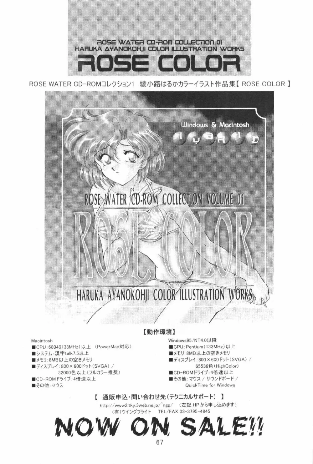 ROSE WATER 11 ROSE FEVER 65ページ