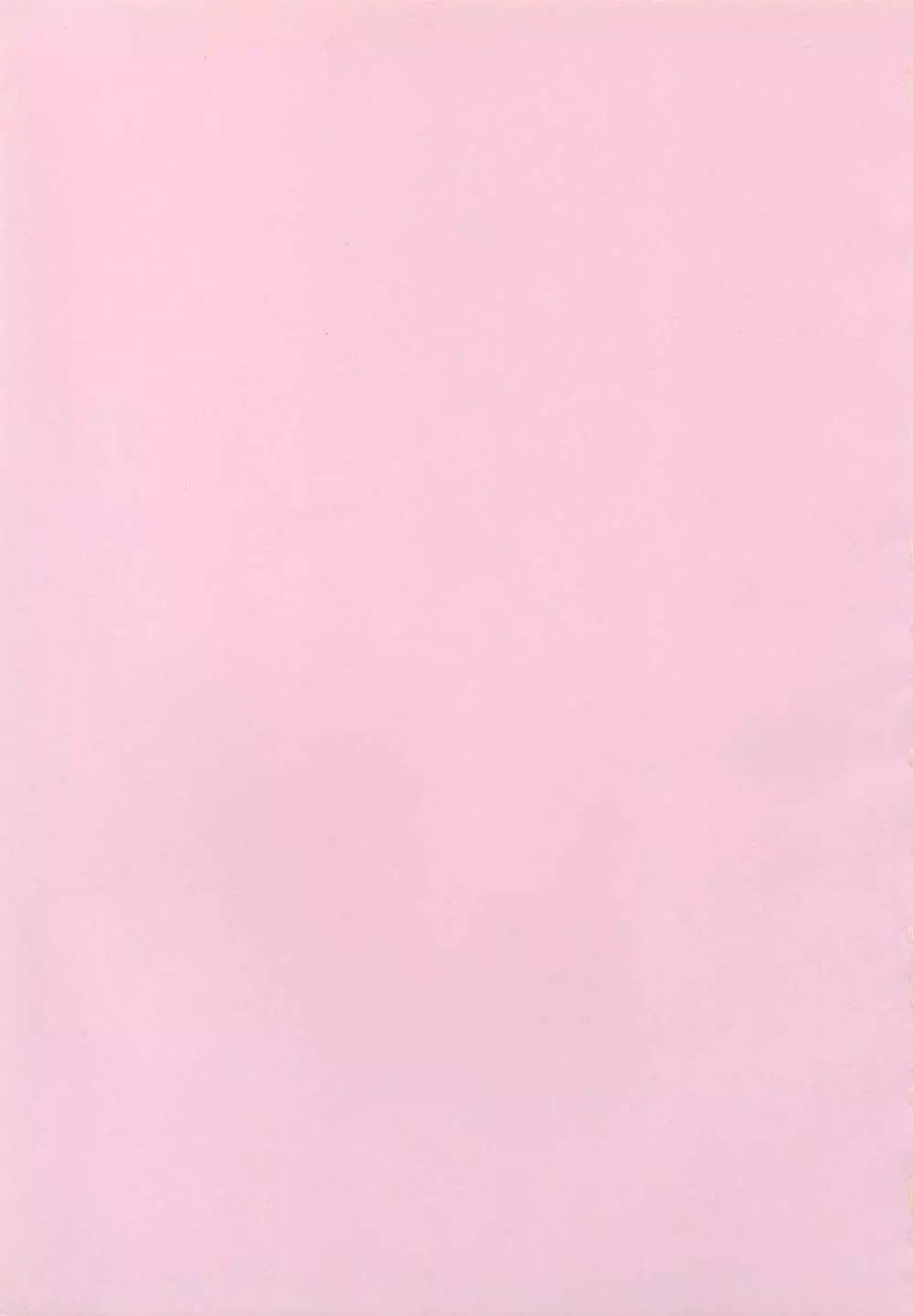 rudje en rudje rosa 2ページ