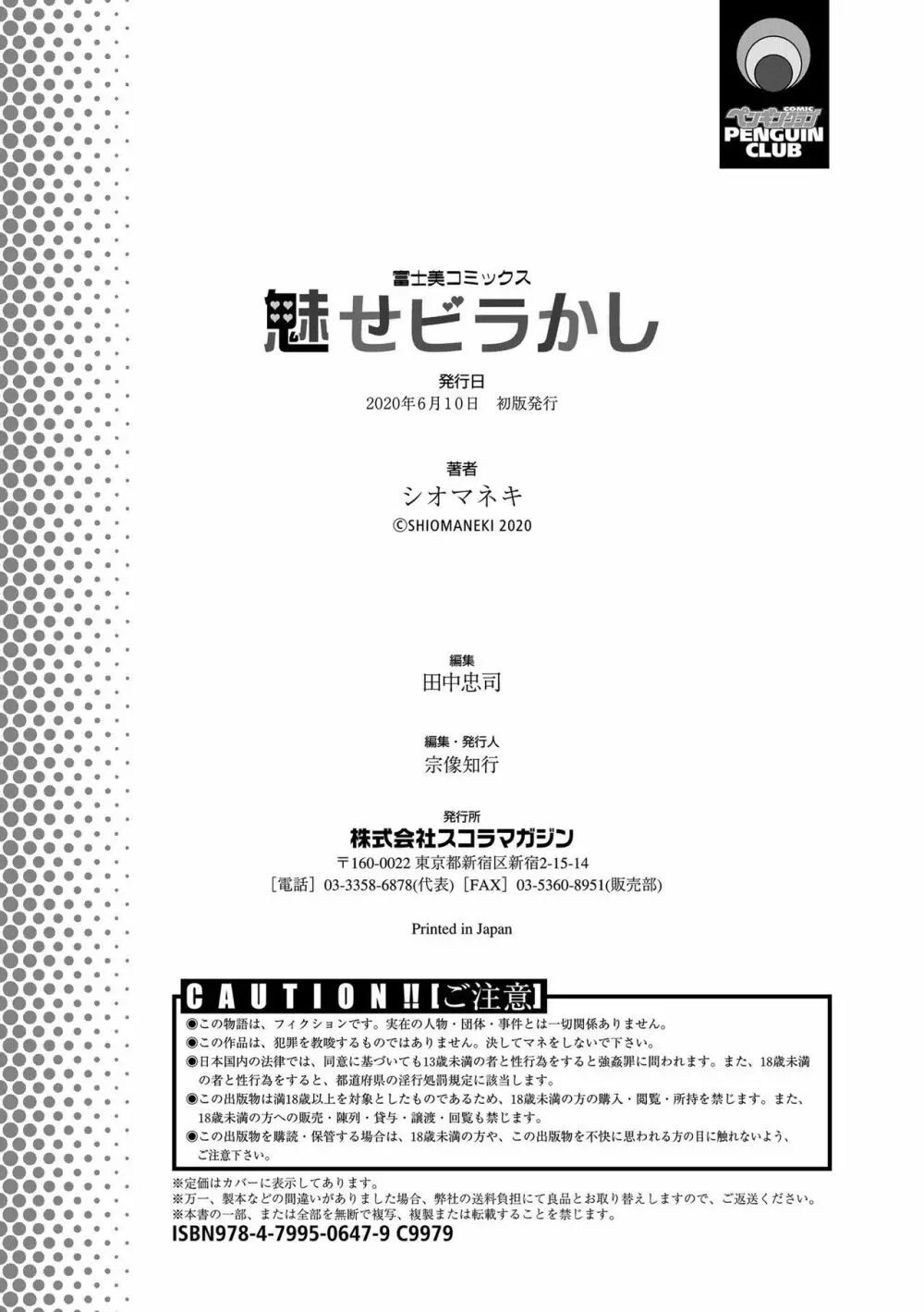 魅せビラかし 210ページ