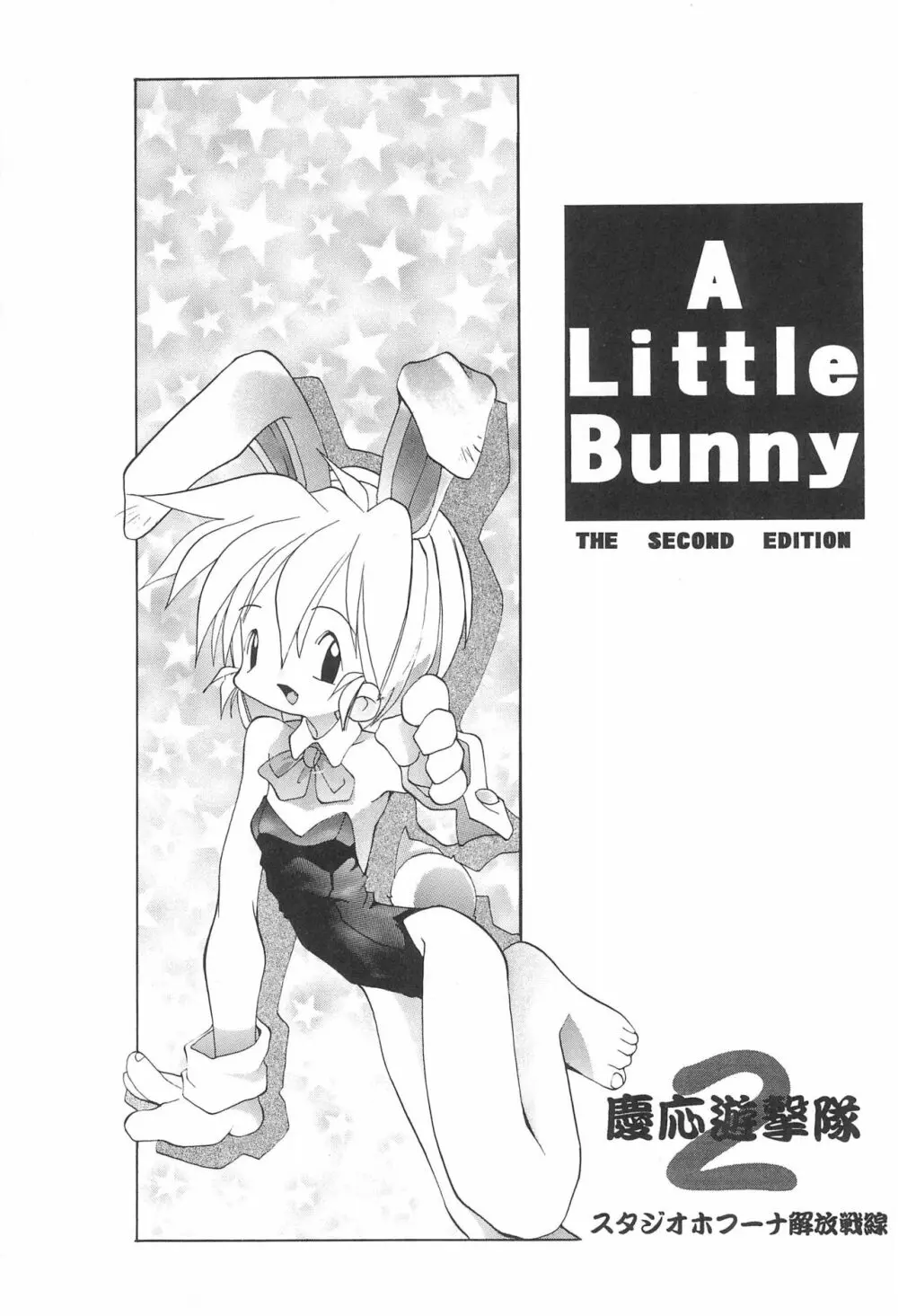 A Little Bunny 3ページ