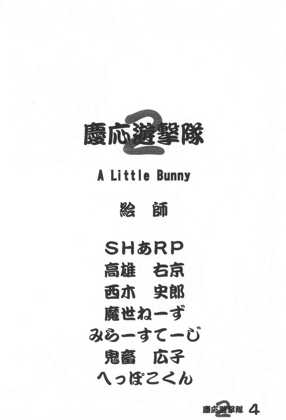 A Little Bunny 4ページ