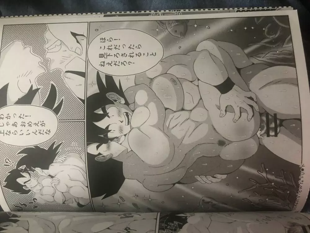 Vegeta c goku 17ページ