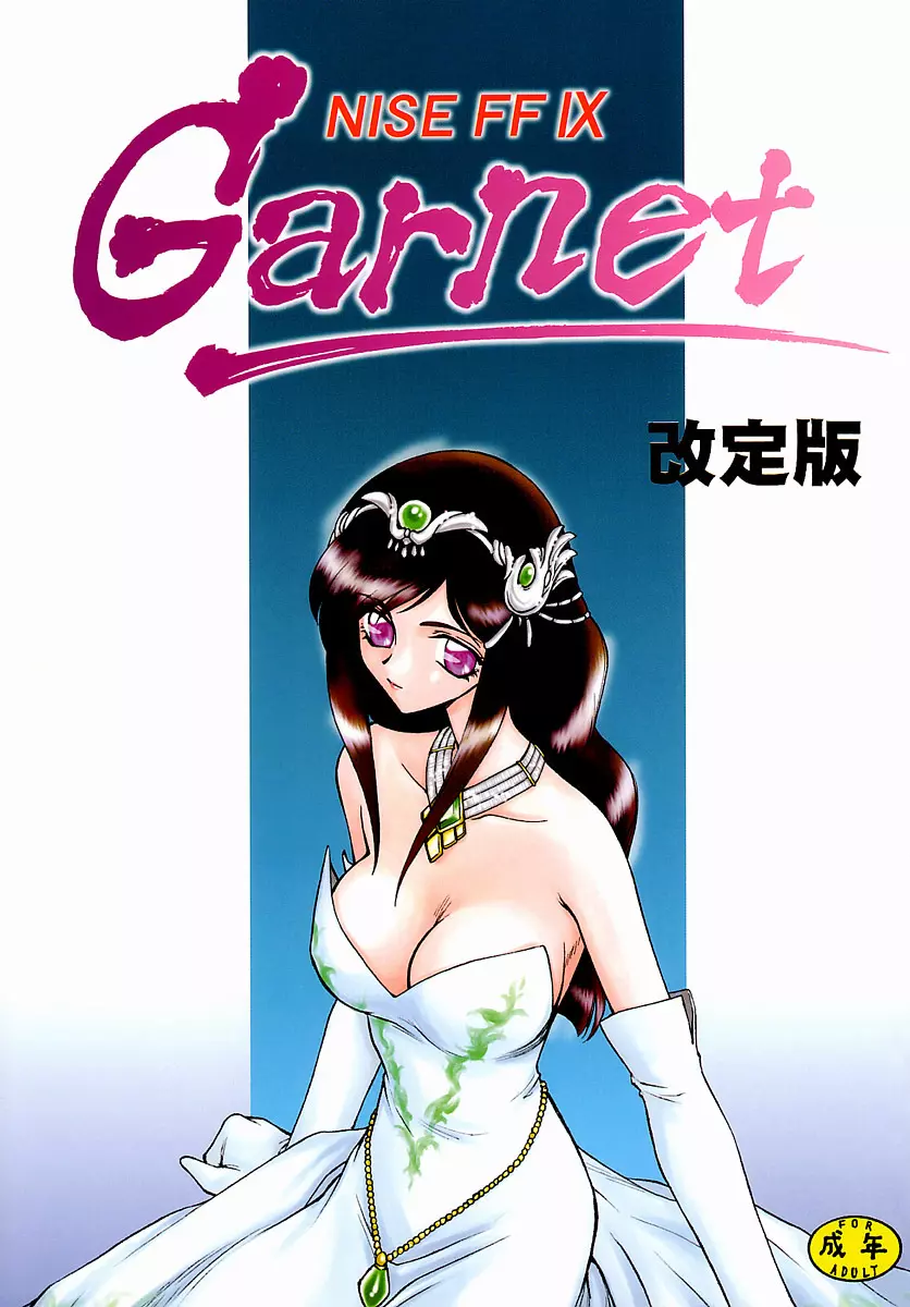 NISE FFIX Garnet 1ページ