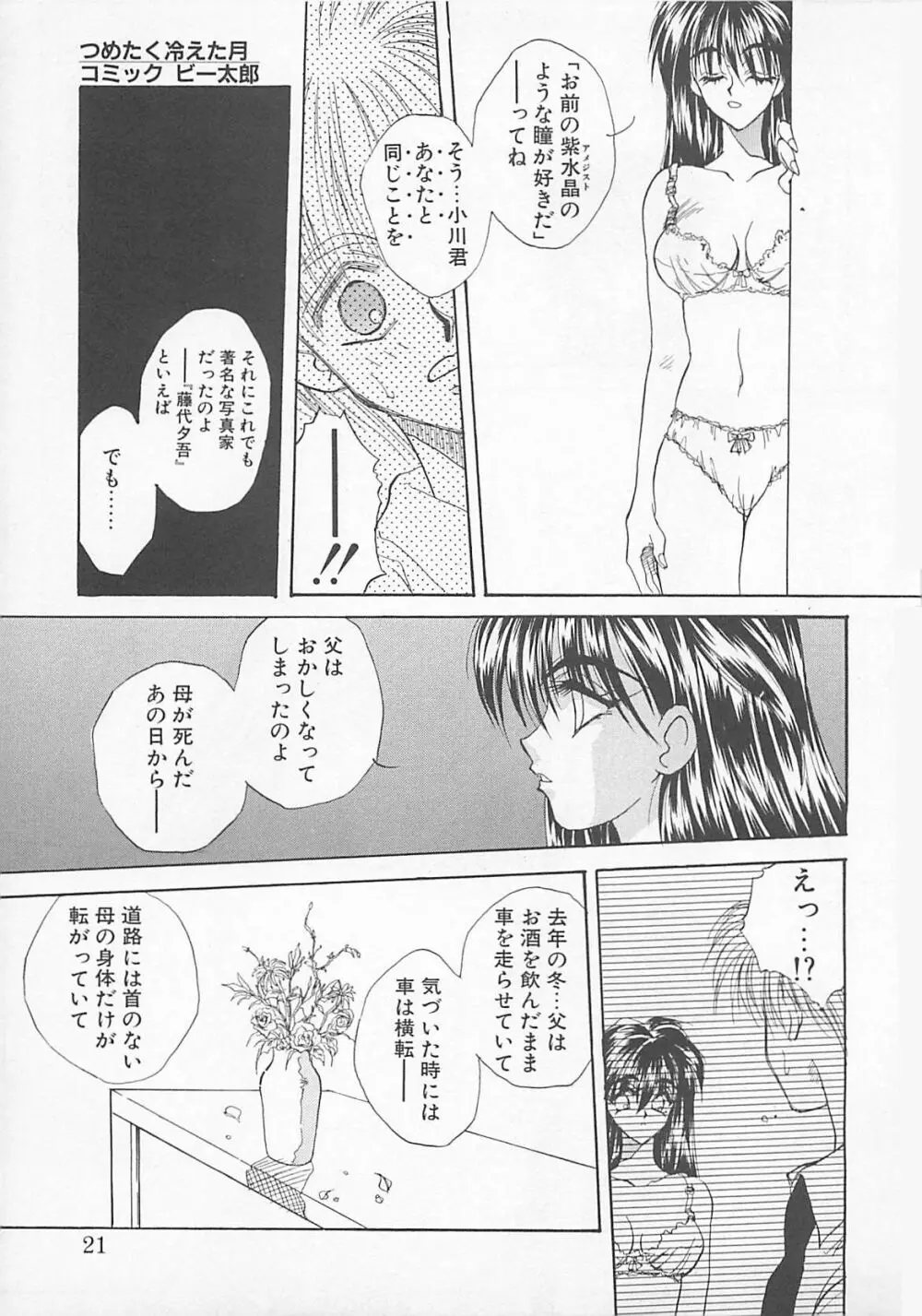 コミックビー太郎 Vol.5 19ページ