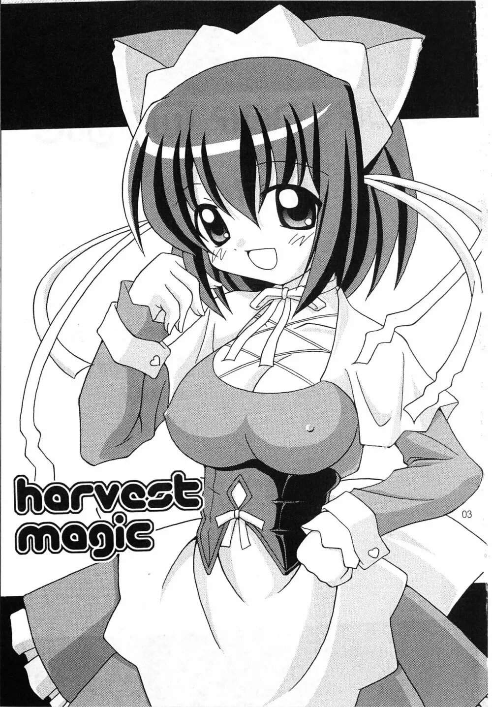 harvest Magic 3ページ