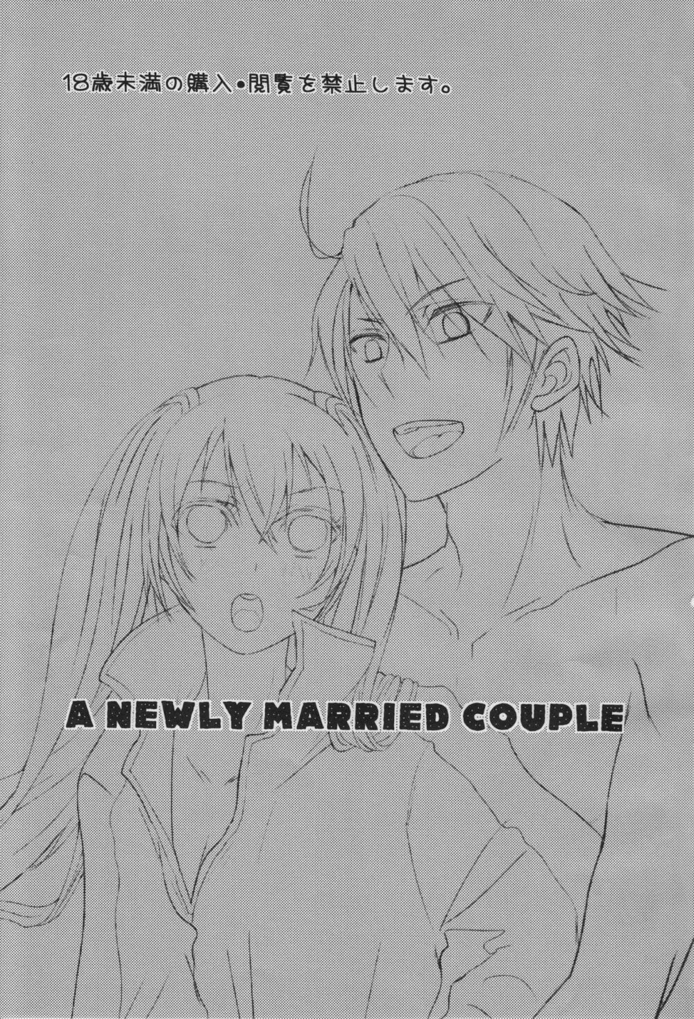 a newly married couple 2ページ