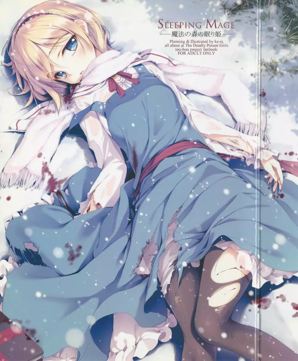 SLEEPING MAGE ‐魔法の森の眠り姫‐ 劇毒少女 Publication Number VII 27ページ