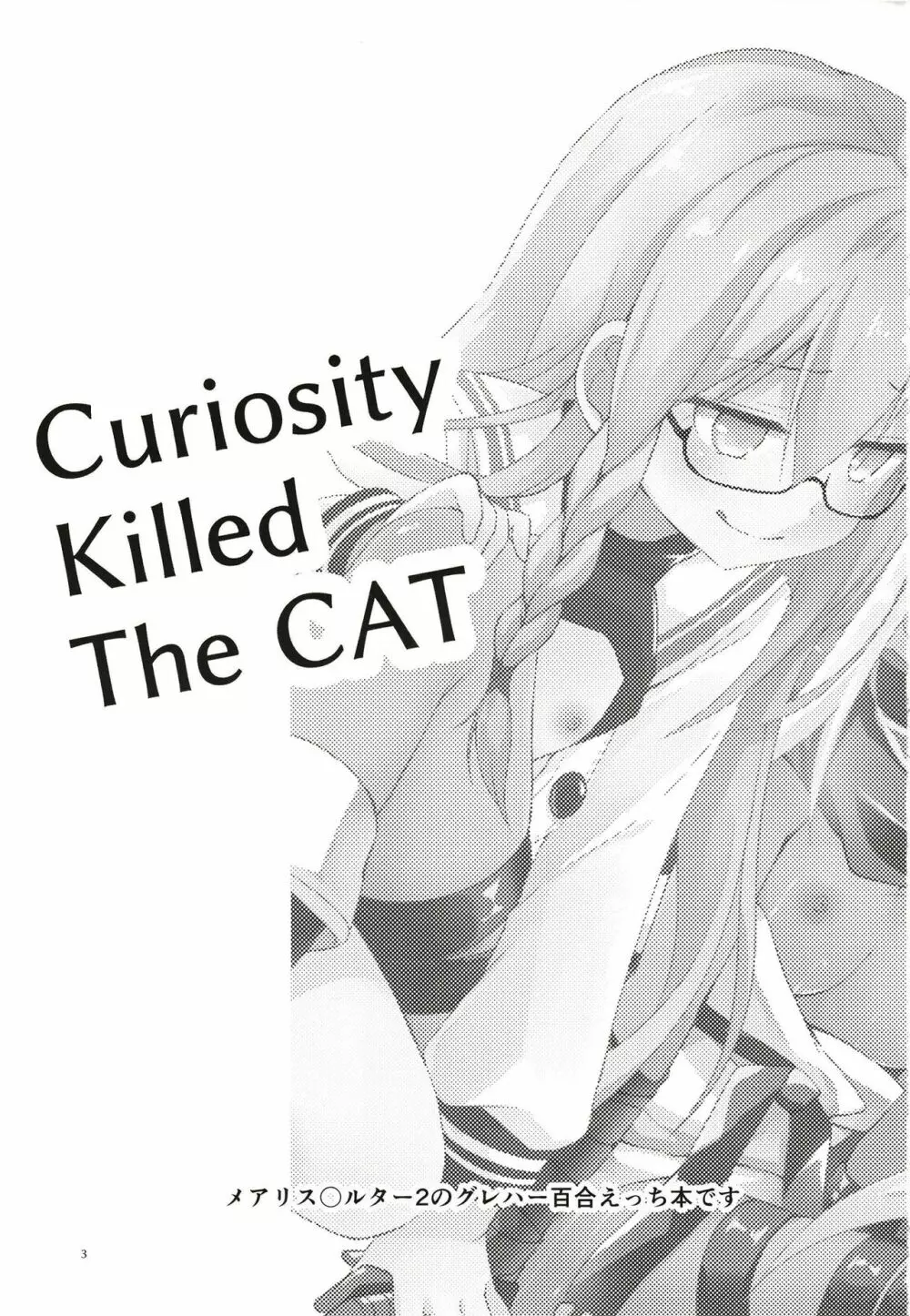 Curiosity Killed the CAT 3ページ