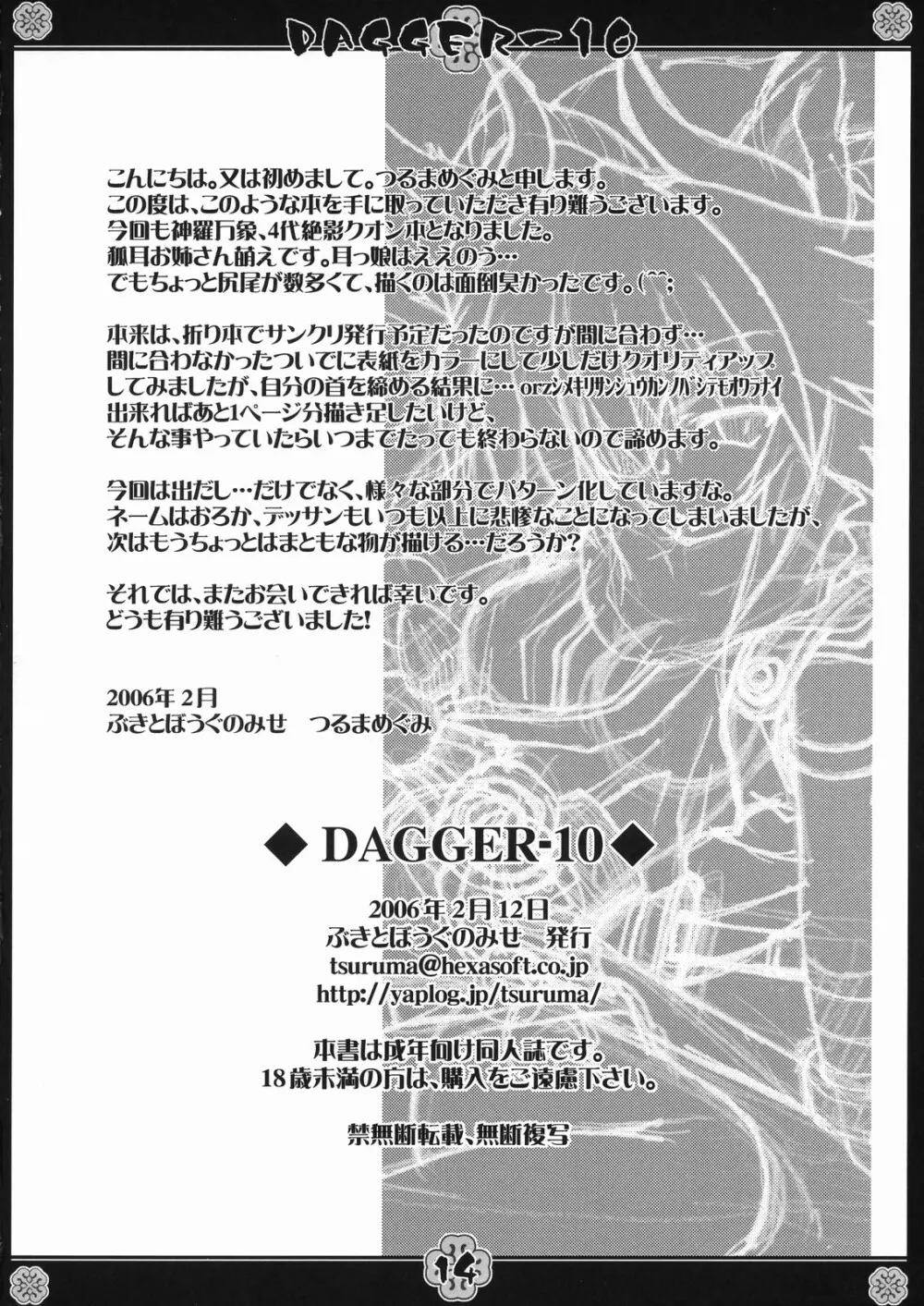 DAGGER-10 13ページ