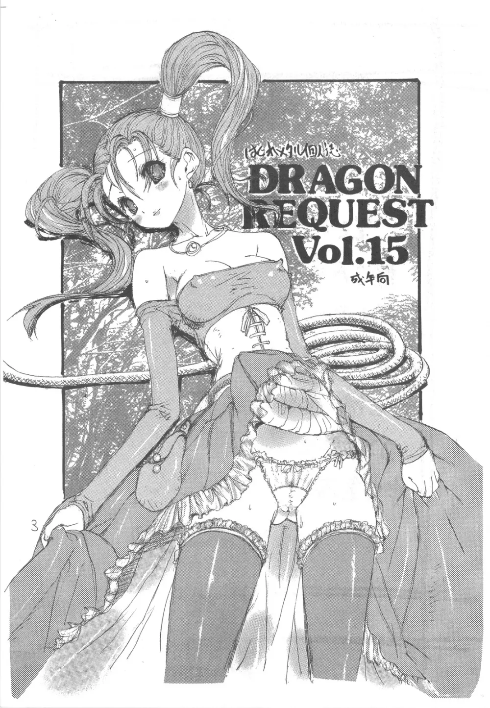 DRAGON REQUEST Vol.15 3ページ