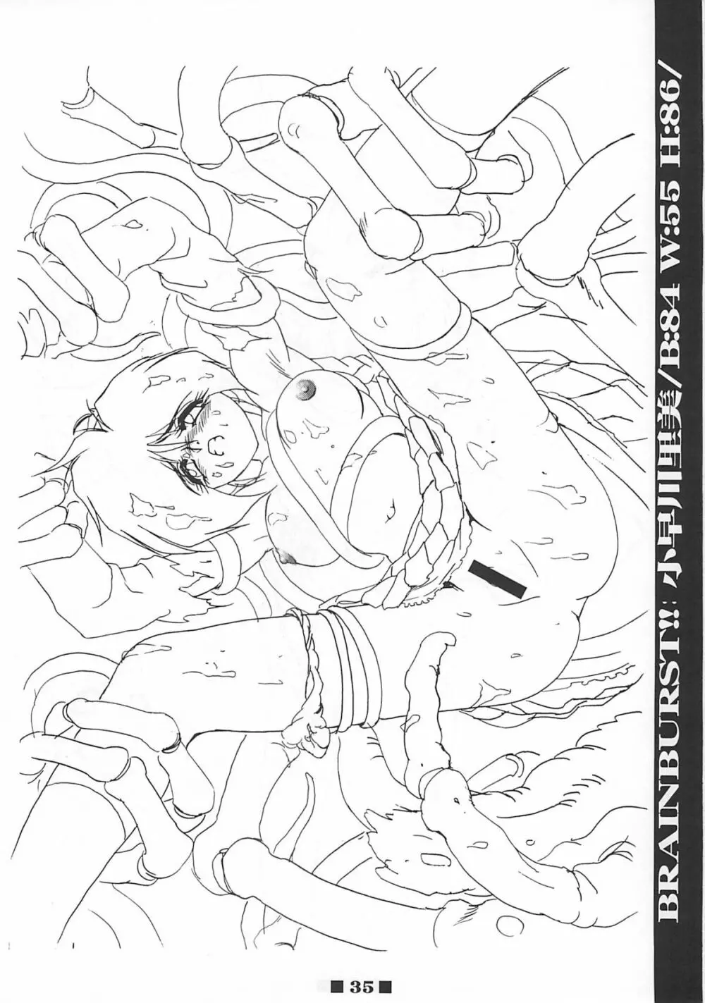 (C58) [HQ’s (梶山弘)] RB WORKS (1) GENM & BRAINBURST!! 淫獣幻夢原画集 (淫獣幻夢) 34ページ