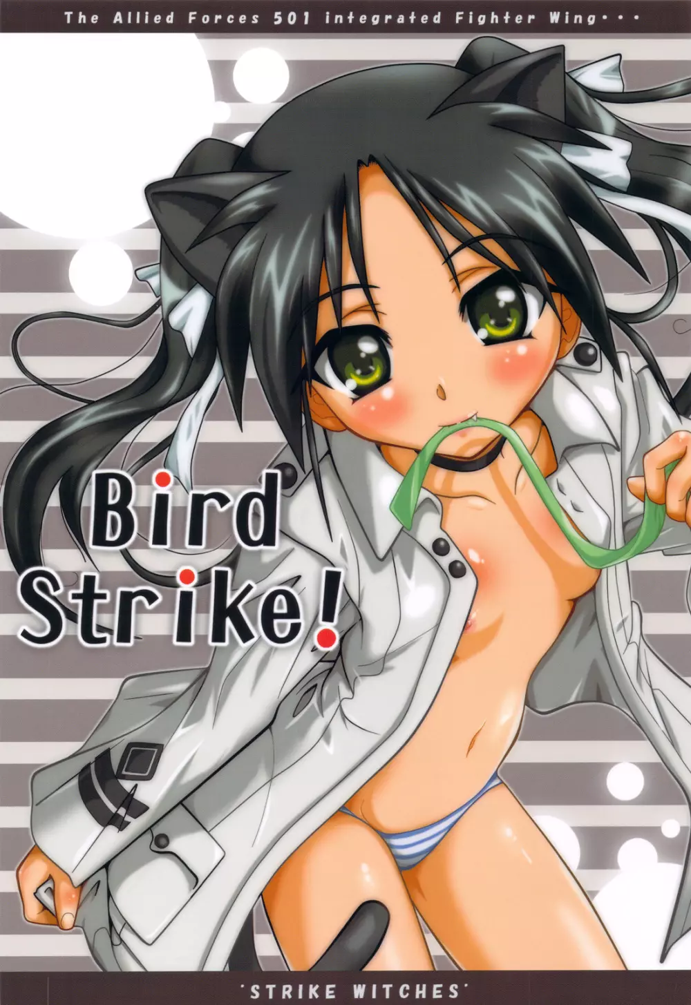 Bird Strike! 1ページ