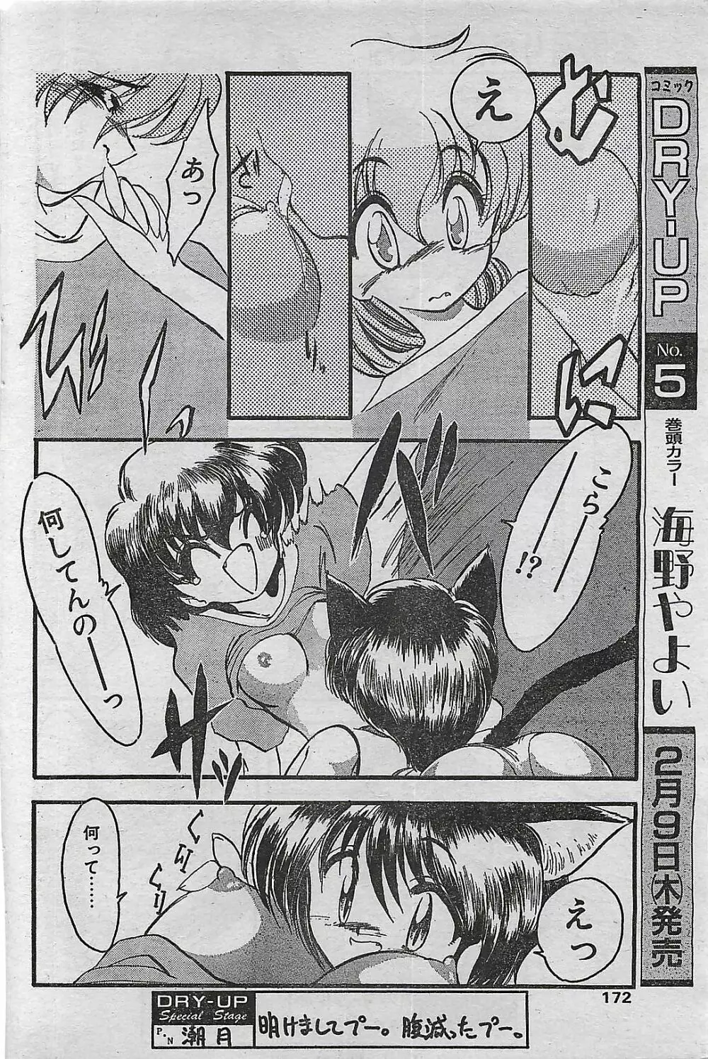 COMIC ドライ-アップ No.4 1995年02月号 172ページ