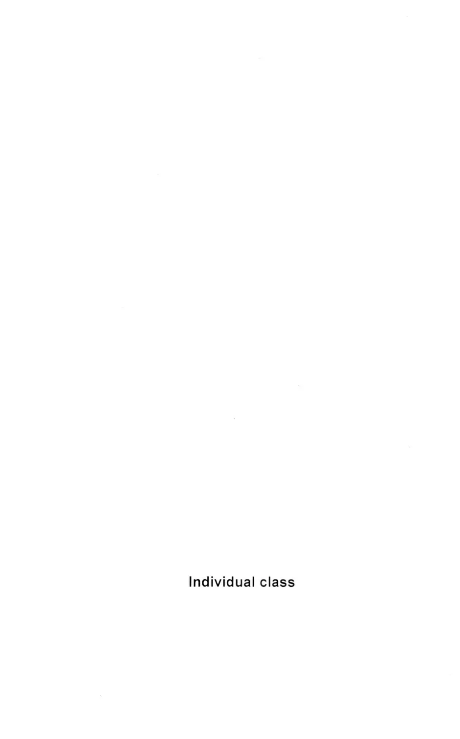 INDIVIDUAL CLASS 2ページ