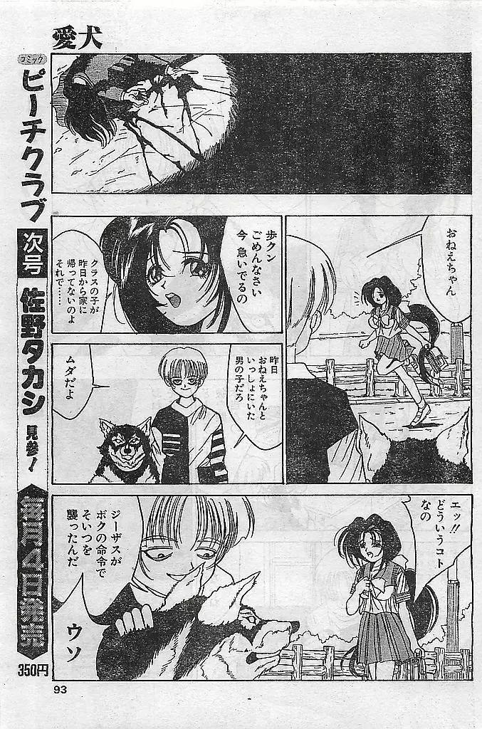 COMIC ピーチクラブ Vol.4 1996年01月号 93ページ