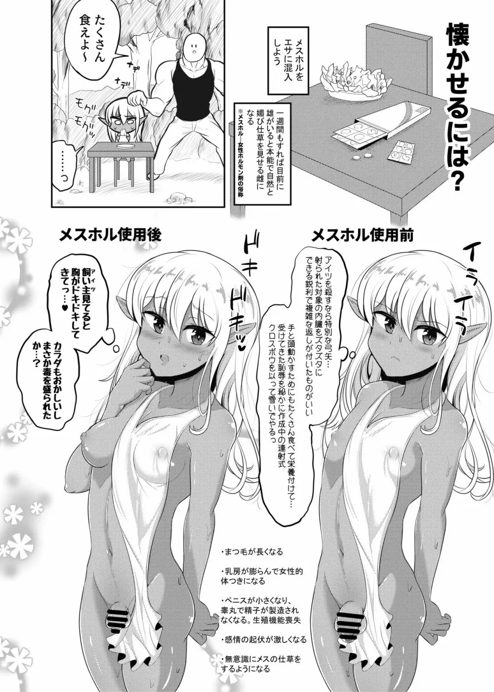 褐色エルフくん♂の飼い方 12ページ