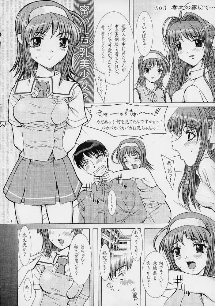Kimi Ga Nozomu Eien – Precious Heart – Mousou Kine Bi 3ページ