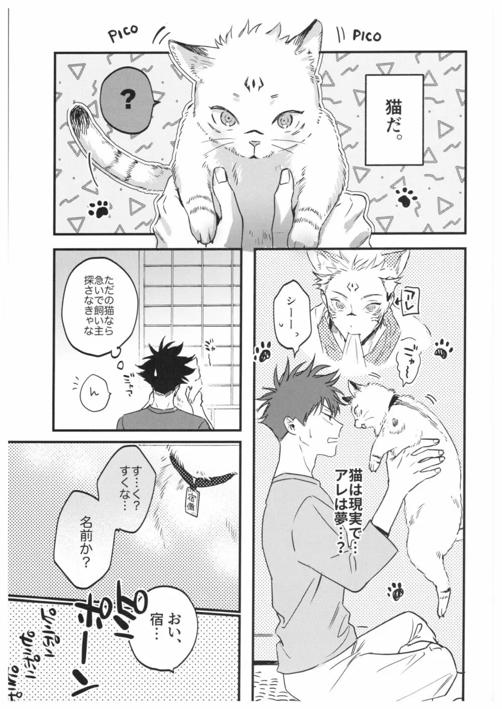 FUSHI TO NEKO 16ページ