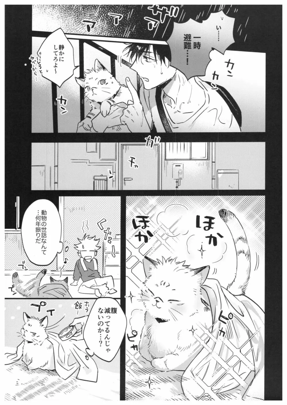 FUSHI TO NEKO 8ページ