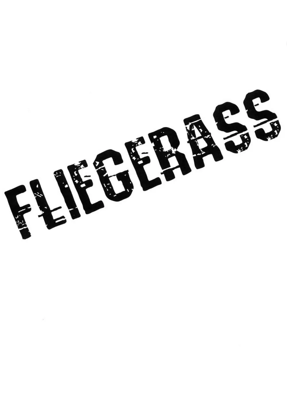 FLIEGERASS 3ページ