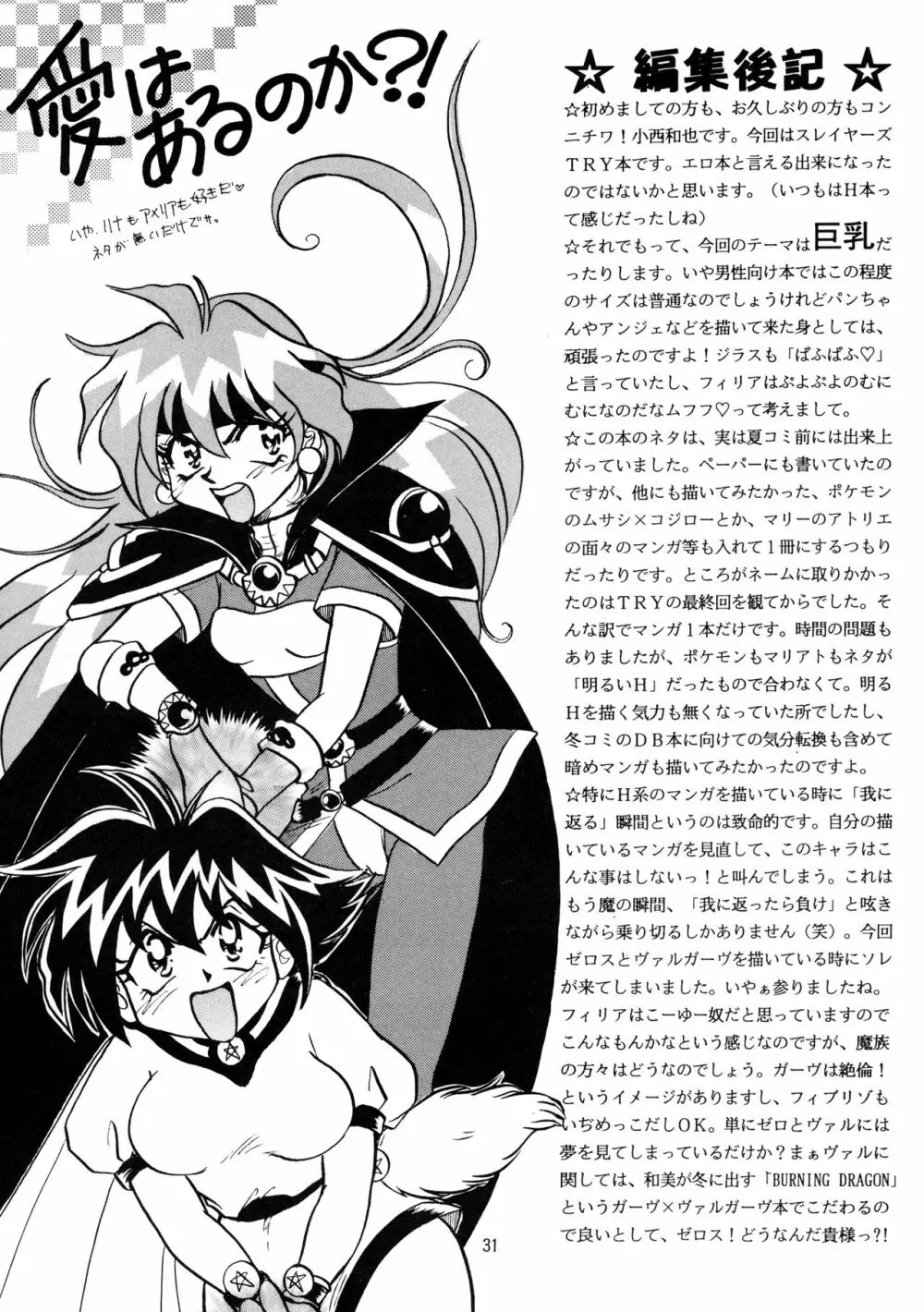 [SAKURAIRO (小西和也) BLACK NOISE (スレイヤーズ) [1997年11月23日] 30ページ