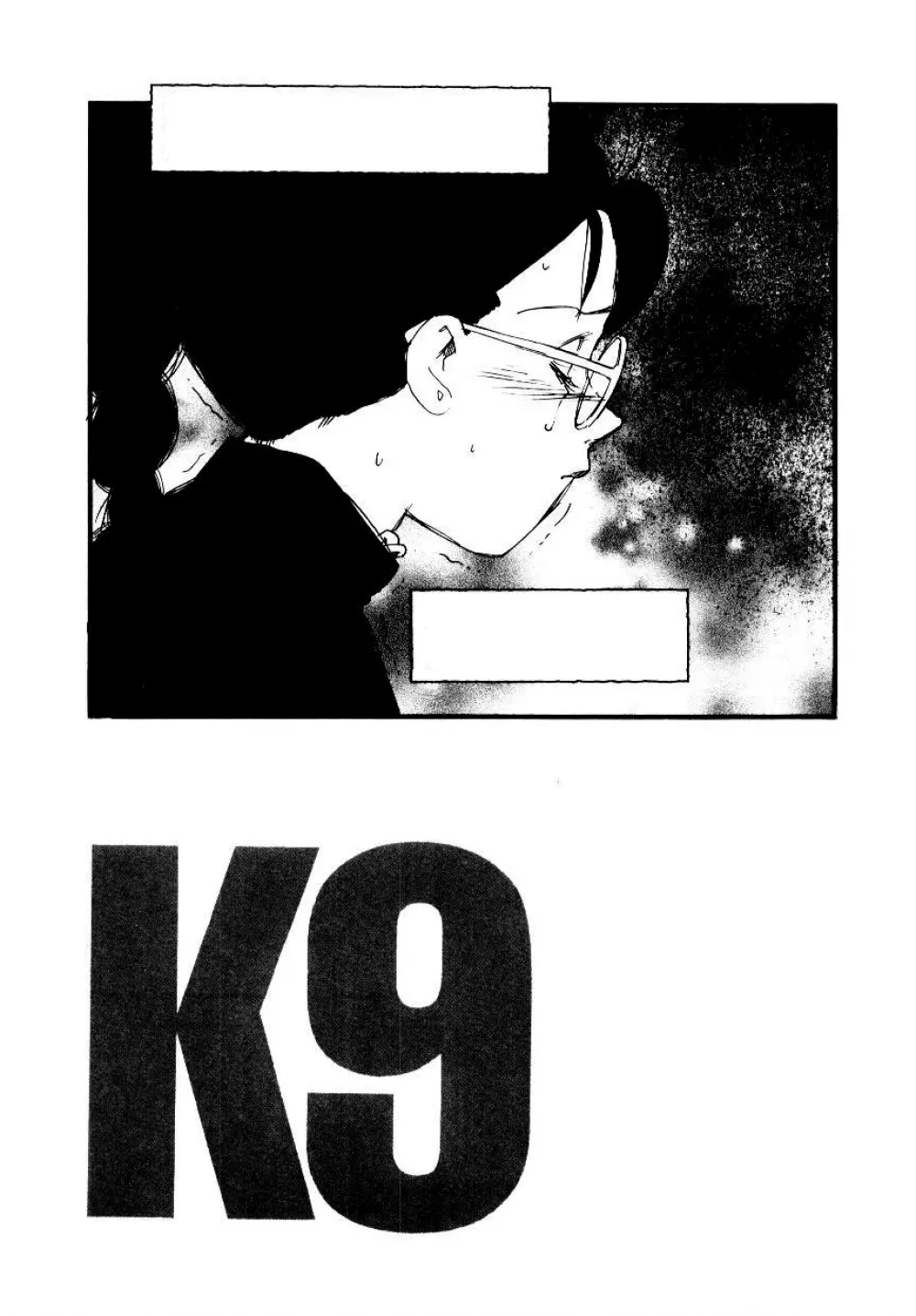 K9 103ページ