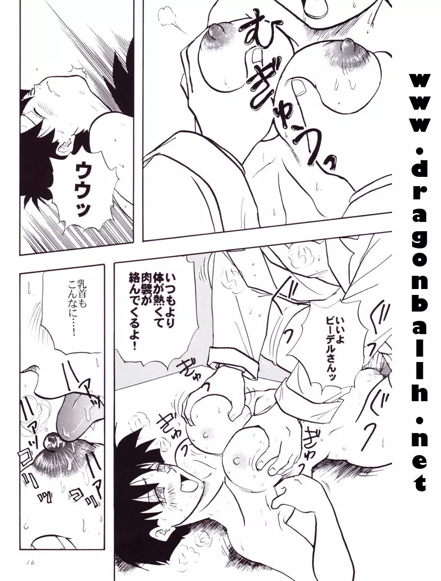 Dragon Ball Z – Wakayo 17ページ