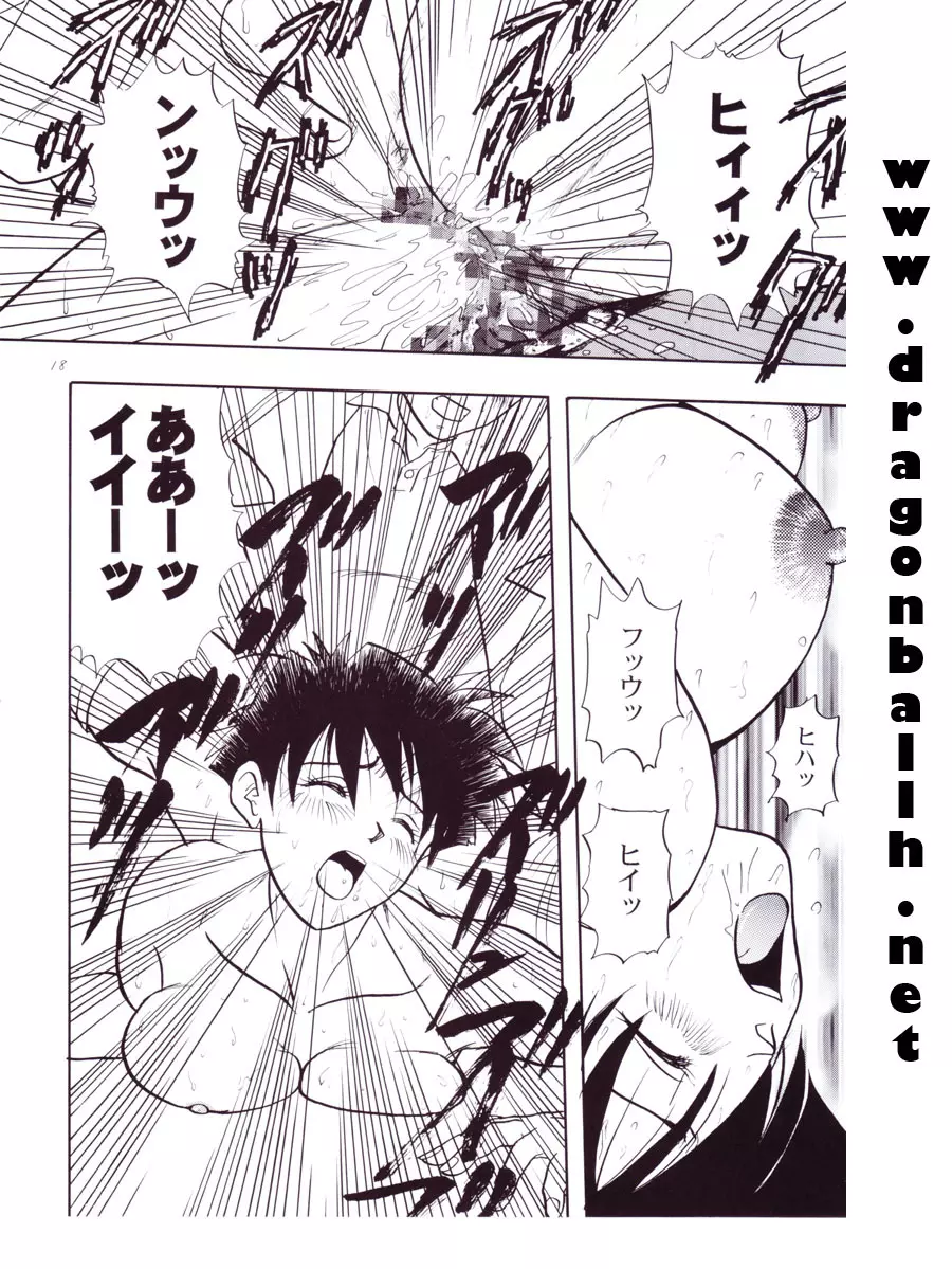 Dragon Ball Z – Wakayo 19ページ
