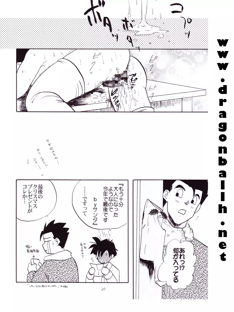 Dragon Ball Z – Wakayo 21ページ
