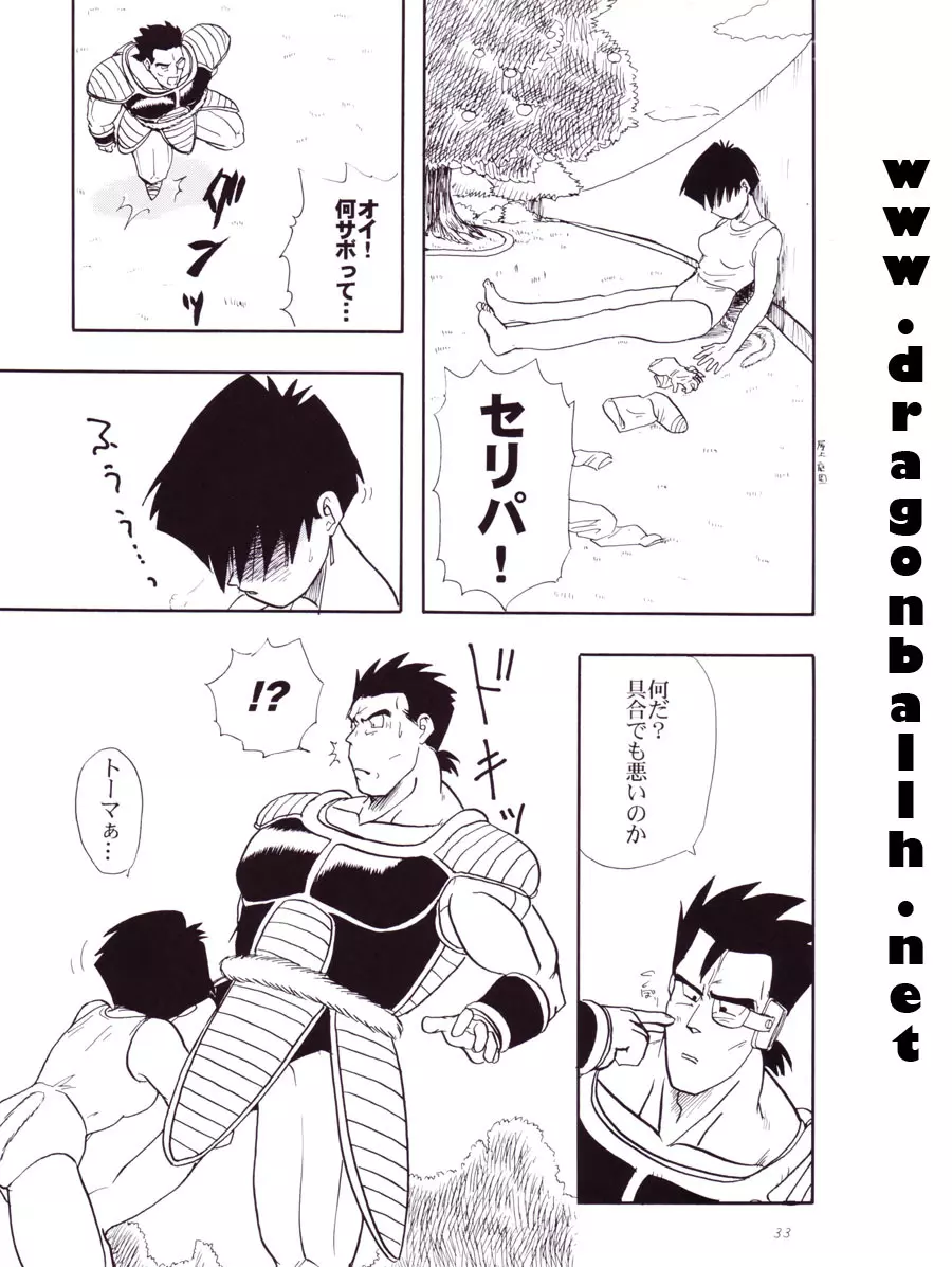 Dragon Ball Z – Wakayo 34ページ