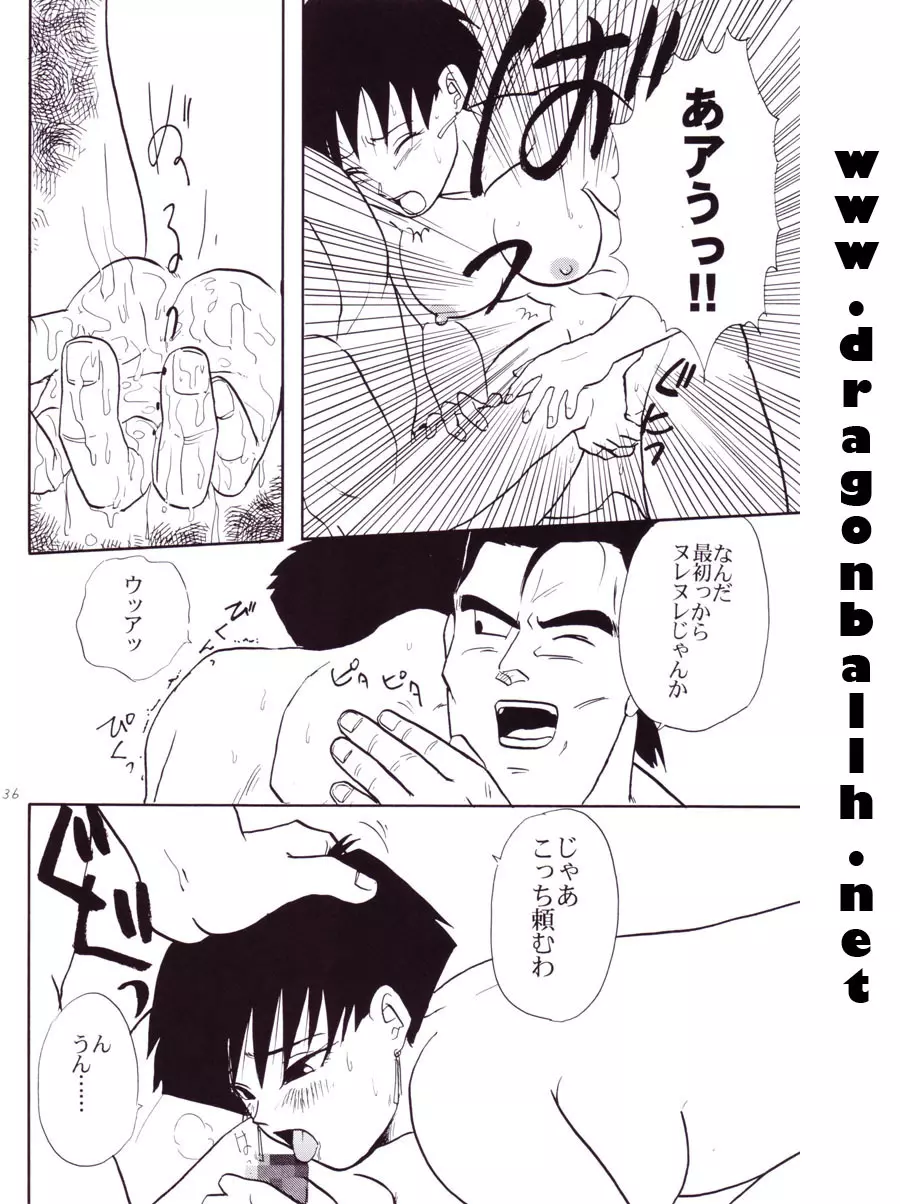 Dragon Ball Z – Wakayo 37ページ