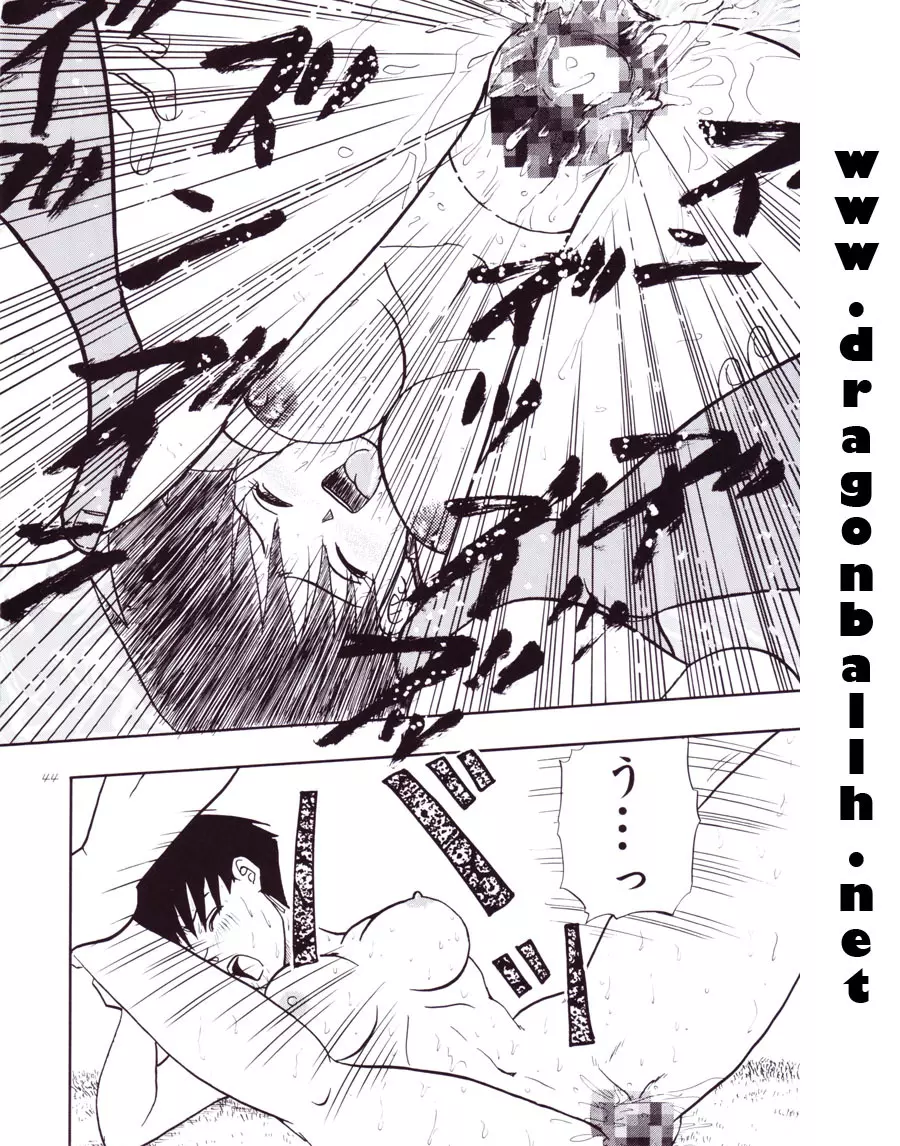 Dragon Ball Z – Wakayo 45ページ