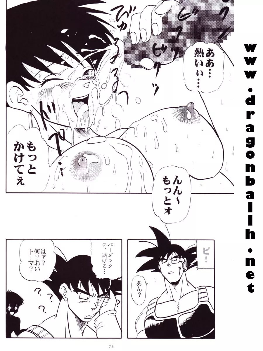 Dragon Ball Z – Wakayo 47ページ