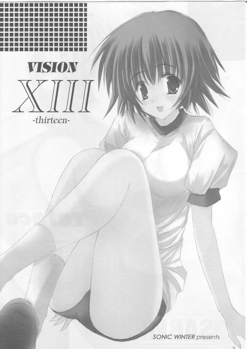VISION XIII -thirteen- 2ページ