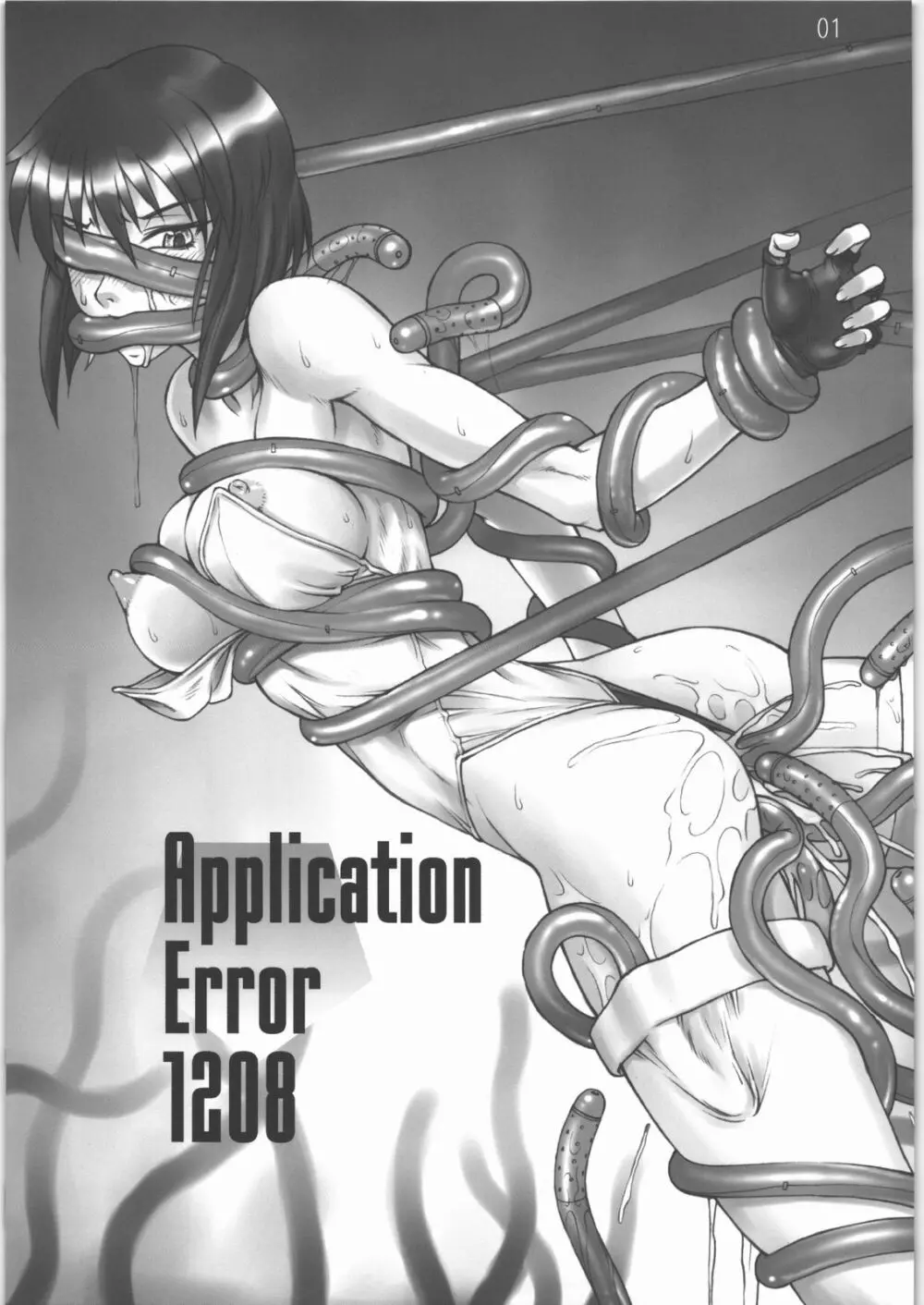 Application Error 1208 2ページ