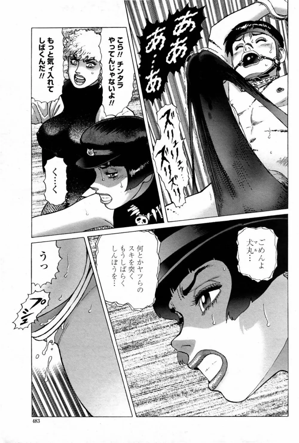 COMIC 桃姫 2007年08月号 485ページ
