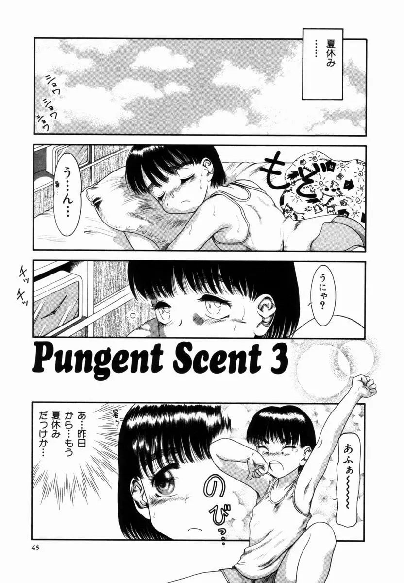Pungent Scent 魅惑の香り 46ページ