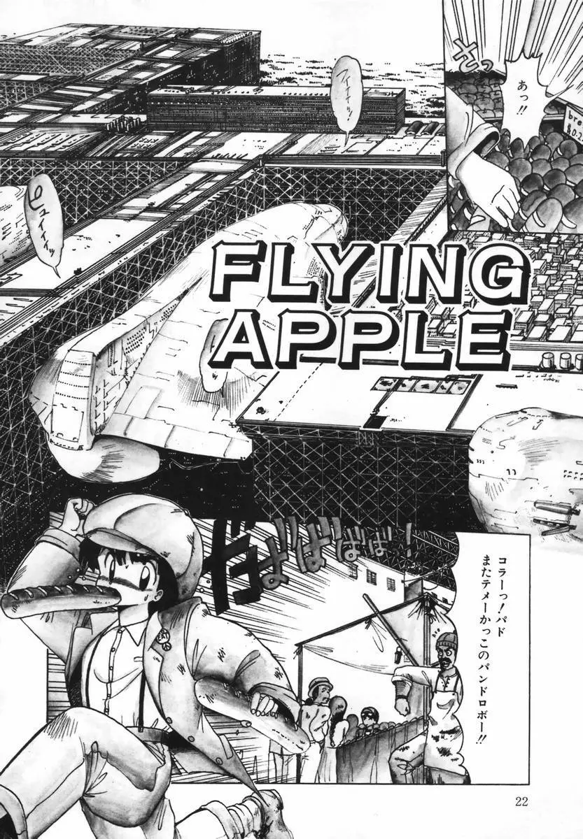 FLYING APPLE 26ページ