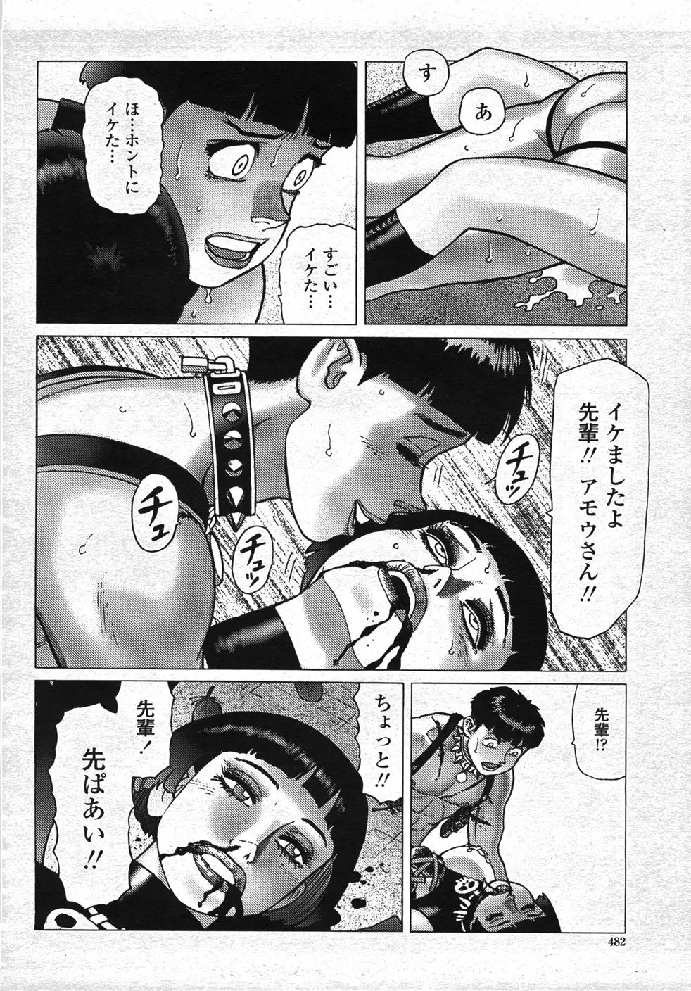 COMIC 桃姫 2007年11月号 485ページ