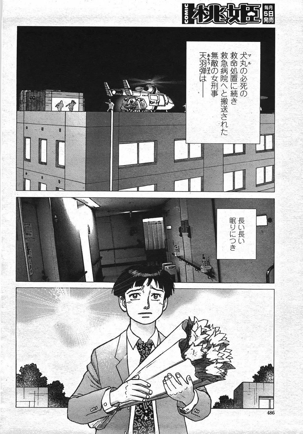 COMIC 桃姫 2007年11月号 489ページ