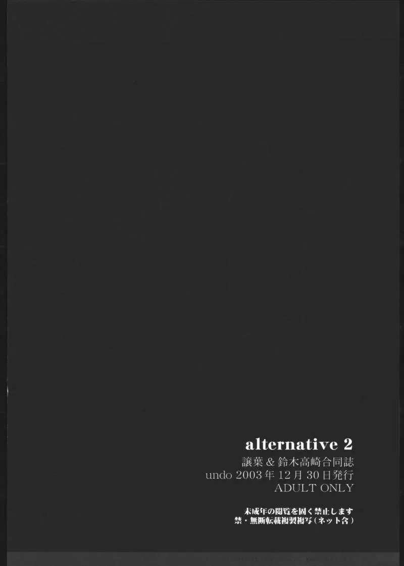 alternative 2 21ページ