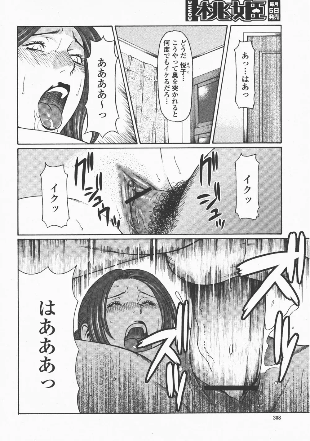COMIC 桃姫 2007年12月号 311ページ