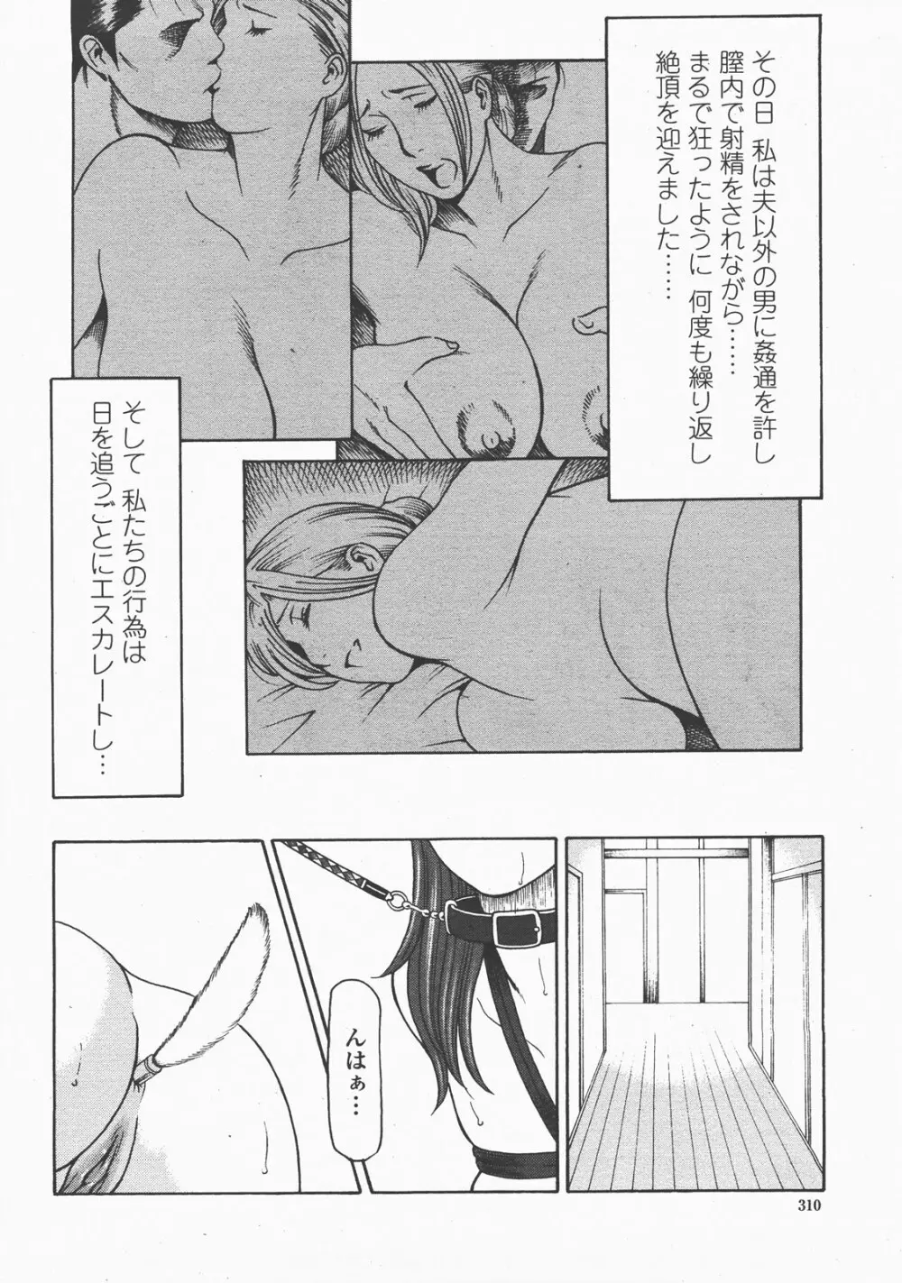 COMIC 桃姫 2007年12月号 313ページ