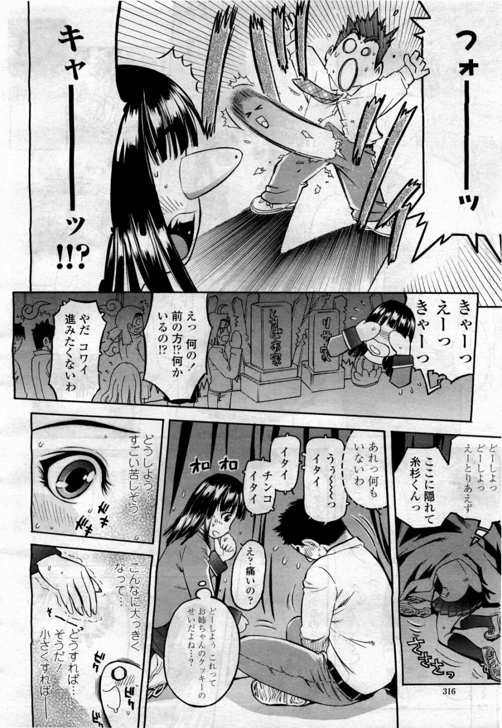 COMIC 桃姫 2010年4月号 Vol.114 318ページ