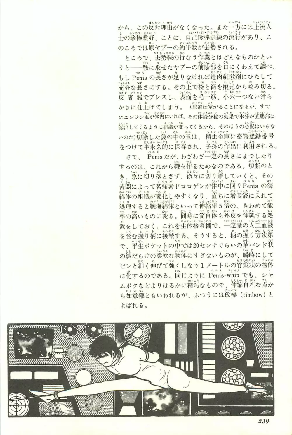 Gekiga Yapoo Shoutai 246ページ