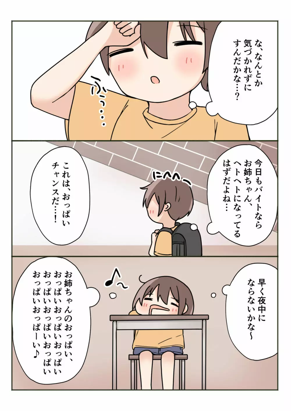 ボクのお姉ちゃんが全然起きないので 14ページ